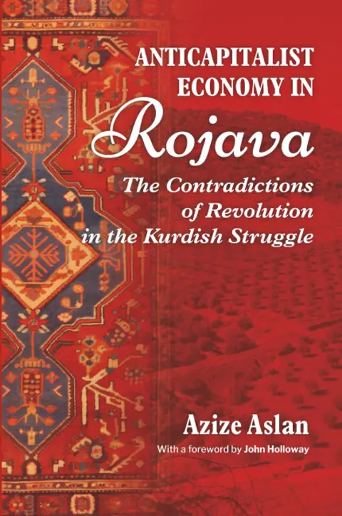 Cover of Anticapitalist Economy in Rojava