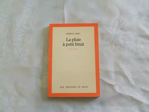Cover of La pluie a petit bruit