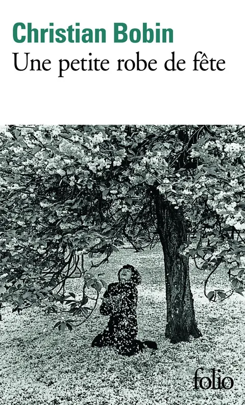 Cover of Une Petite Robe De Fete