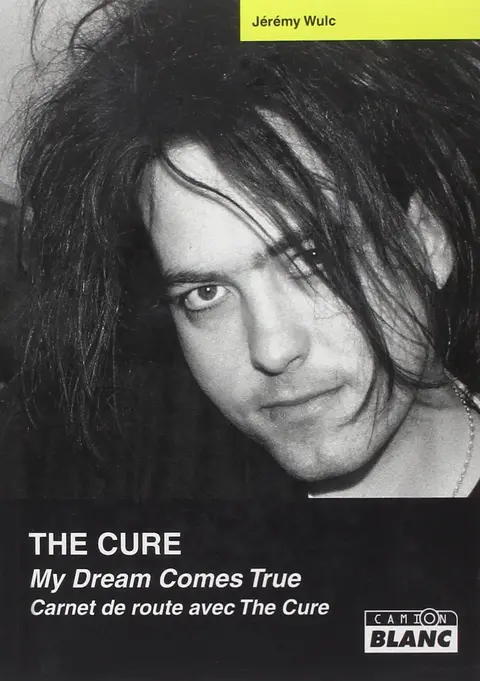 Cover of The cure my dream comes true