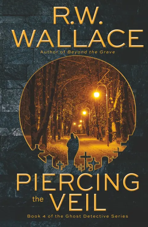 Cover of Piercing the Veil