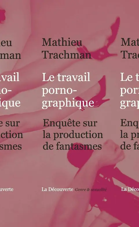 Cover of Le travail pornographique