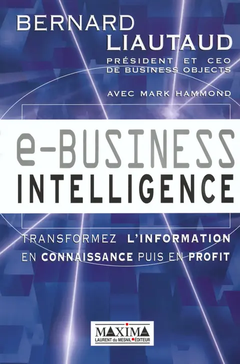 Cover of E business intelligence