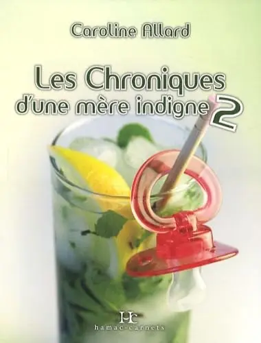 Cover of Les chroniques d une mere indigne t 02