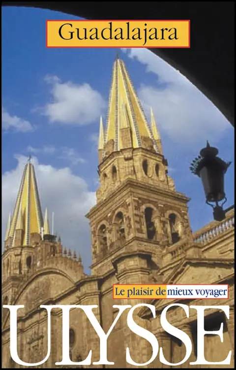 Cover of Guadalajara 2001