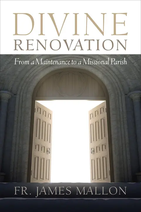 Cover of Divine Renovation