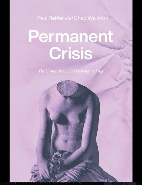 Cover of A Permanent Crisis