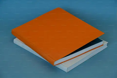 Cover of Facet Theory and the Mapping Sentence