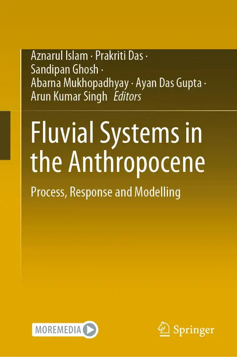 Cover of Fluvial Systems in the Anthropocene
