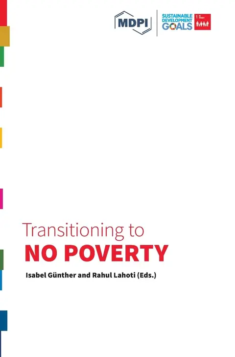 Cover of Transitioning to No Poverty