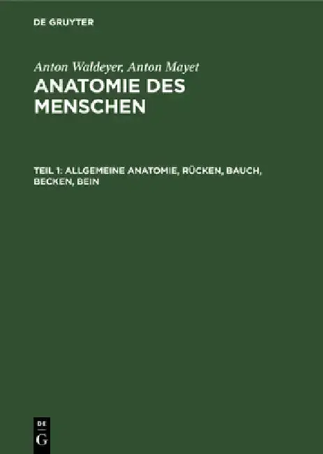 Cover of Allgemeine Anatomie, Rücken, Bauch, Becken, Bein