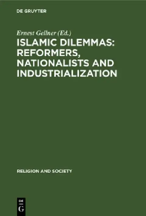 Cover of Islamic Dilemmas