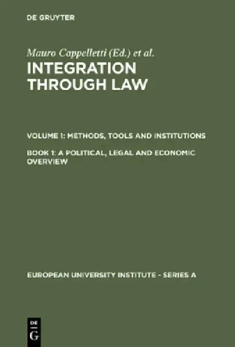 Cover of A Political, Legal and Economic Overview
