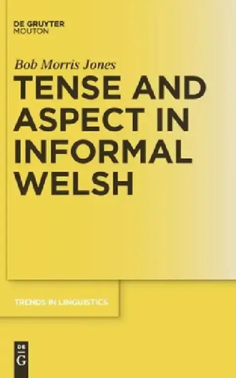 Cover of Tense and Aspect in Informal Welsh