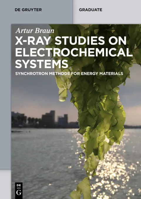 Cover of X-ray Studies on Electrochemical Systems