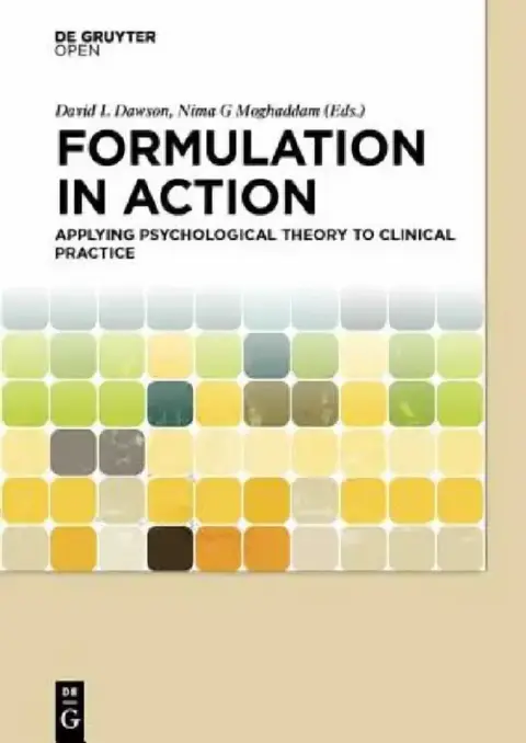Cover of Formulation in Action