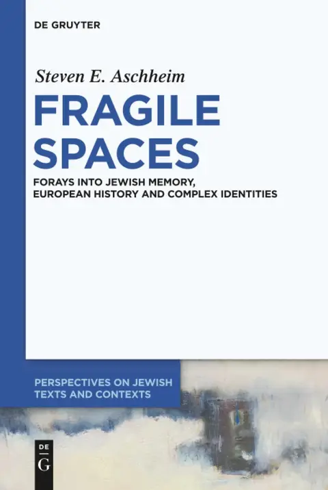 Cover of Fragile Spaces