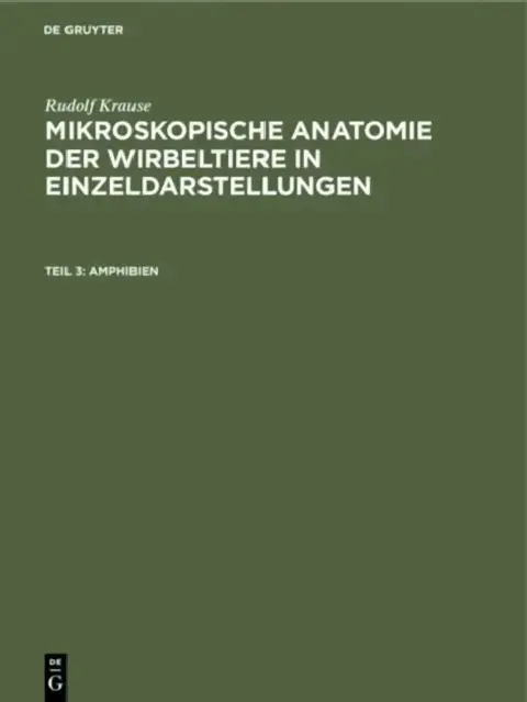 Cover of Amphibien