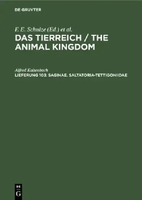 Cover of Saginae. Saltatoria-Tettigoniidae
