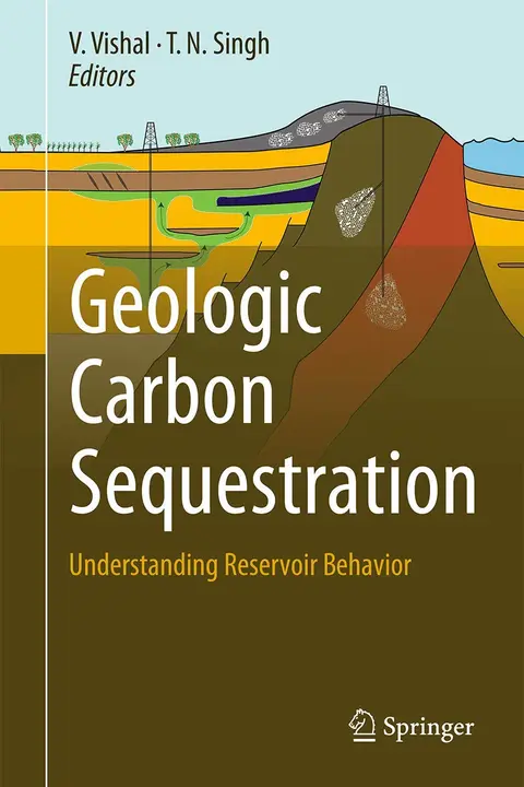 Cover of Geologic Carbon Sequestration