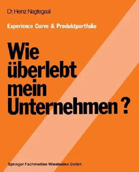 Cover of Experience Curve & Produktportfolio Wie Überlebt Mein Unternehmen?