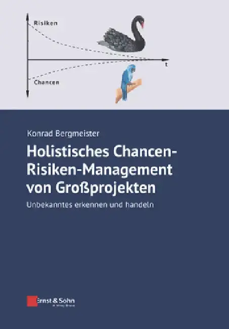 Cover of Holistisches Chancen-Risiken-Management von Grossprojekten