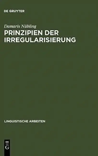 Cover of Prinzipien der Irregularisierung