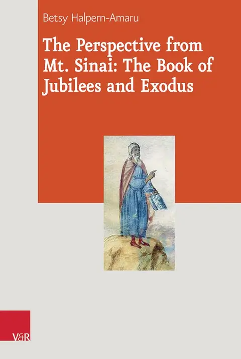 Cover of The Perspective from Mt. Sinai