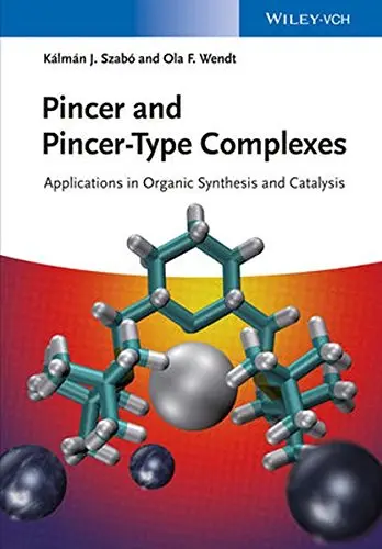 Cover of Pincer and Pincer-Type Complexes