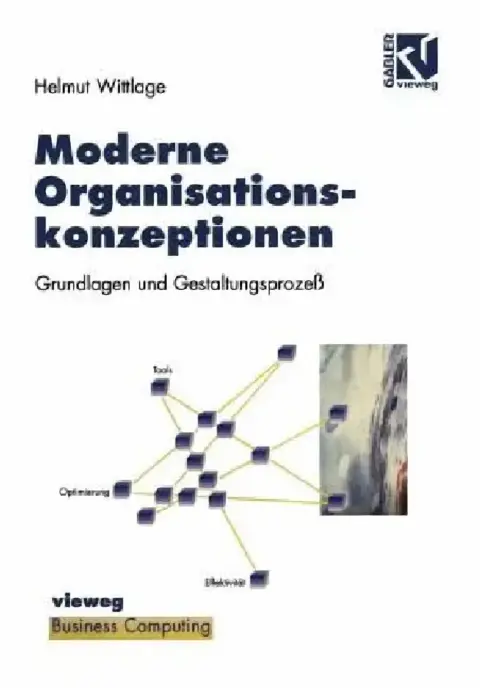 Cover of Moderne Organisationskonzeptionen