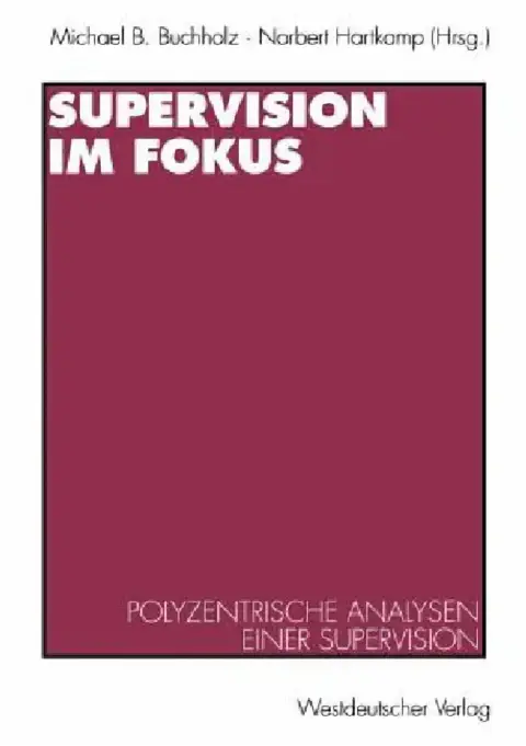 Cover of Supervision Im Fokus