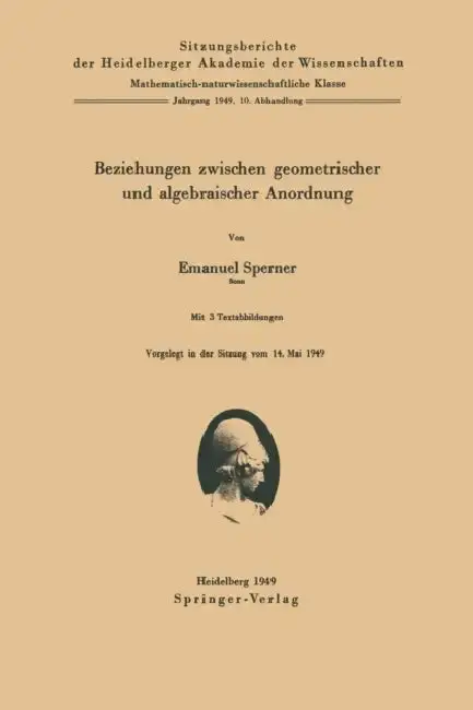 Cover of Beziehungen Zwischen Geometrischer Und Algebraischer Anordnung