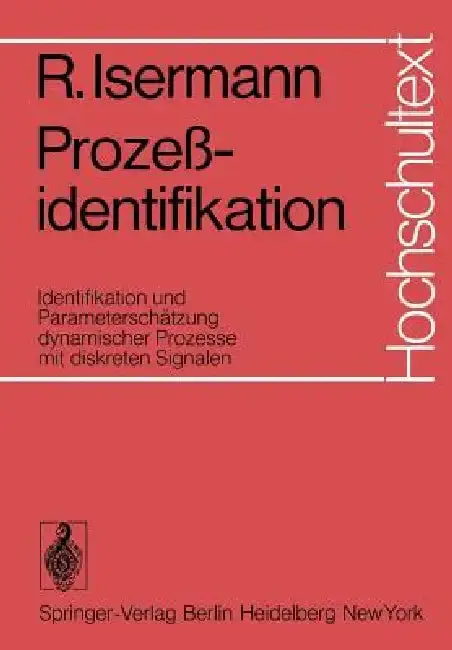 Cover of Prozeßidentifikation