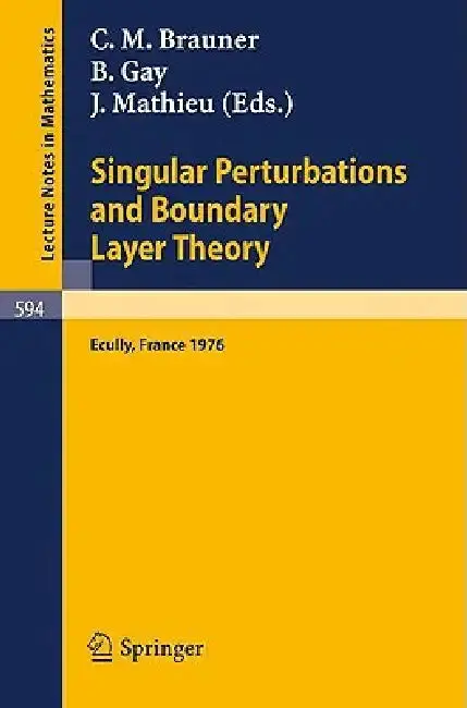 Cover of Singular Perturbations and Boundary Layer Theory