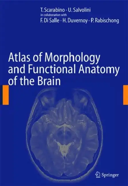 Cover of Atlas of Morphology and Functional Anatomy of the Brain