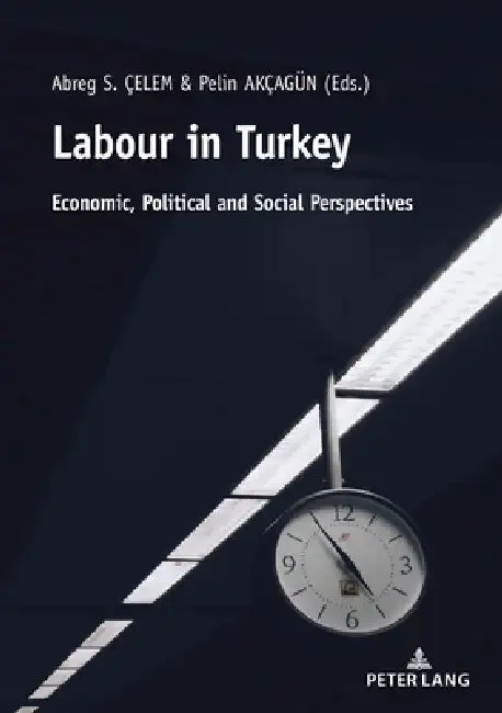 Cover of Labour in Turkey