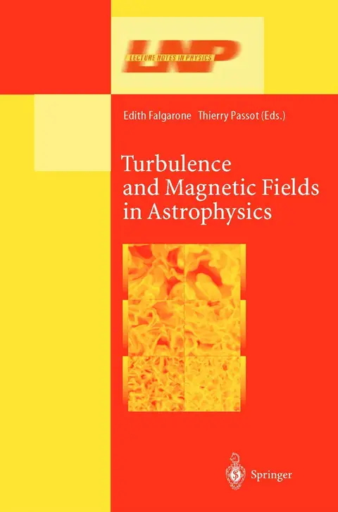 Cover of Turbulence and Magnetic Fields in Astrophysics