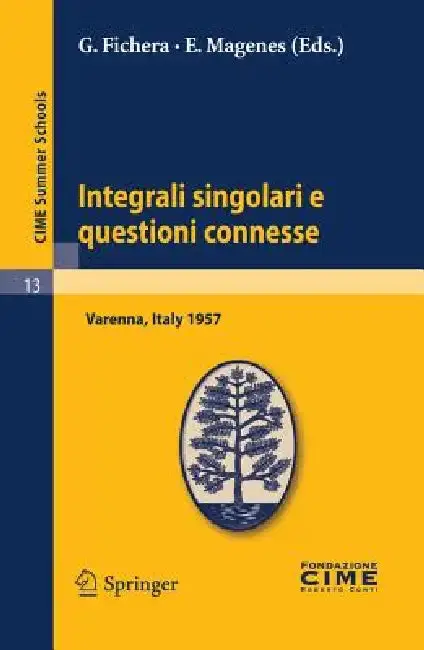 Cover of Integrali Singolari E Questioni Connesse