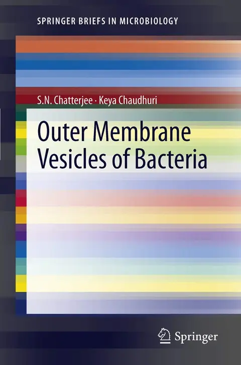 Cover of Outer Membrane Vesicles of Bacteria