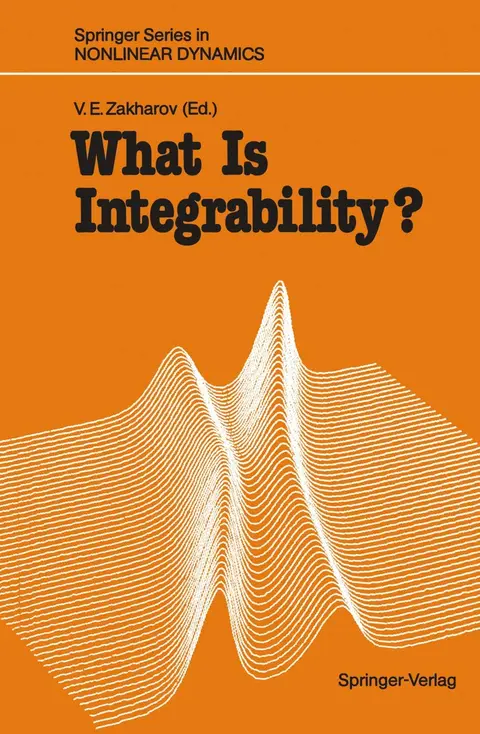 Cover of What Is Integrability?