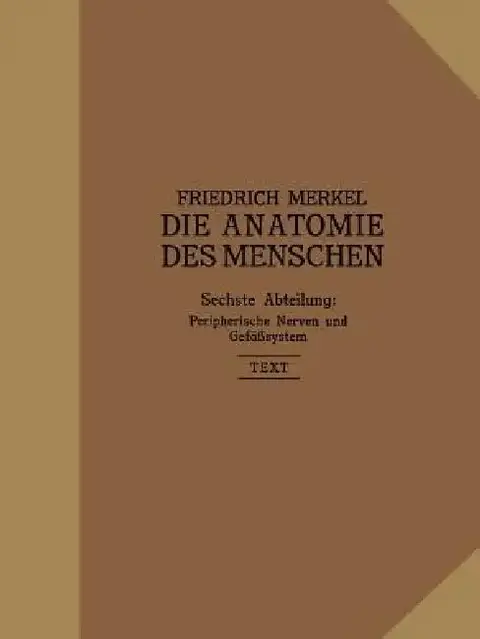 Cover of Peripherische Nerven, Gefäßsystem