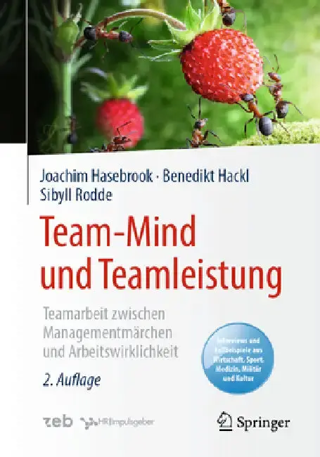 Cover of Team-Mind Und Teamleistung