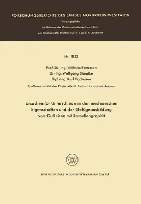 Cover of Ursachen für Unterschiede in den mechanischen Eigenschaften und der Gefügeausbildung von Gußeisen mit Lamellengraphit