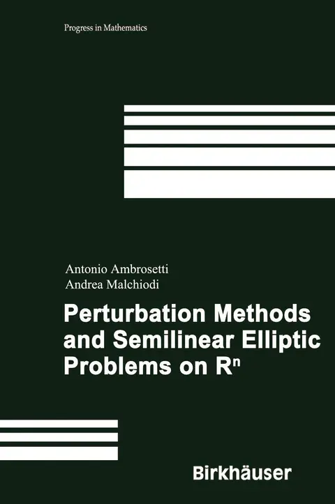 Cover of Perturbation Methods and Semilinear Elliptic Problems on R^N (Hb 2006)