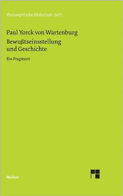 Cover of Bewusstseinsstellung und Geschichte
