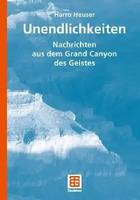 Cover of Unendlichkeiten