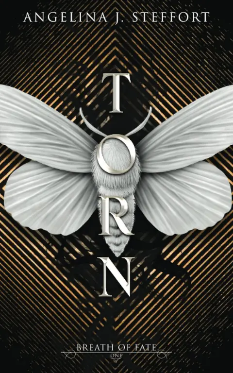 Cover of Torn