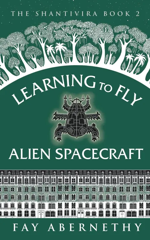 Cover of Learning to Fly Alien Spacecraft