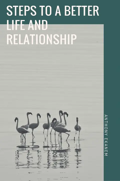 Cover of Steps to a Better Life and Relationship
