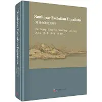 Cover of Nonlinear evolution equation